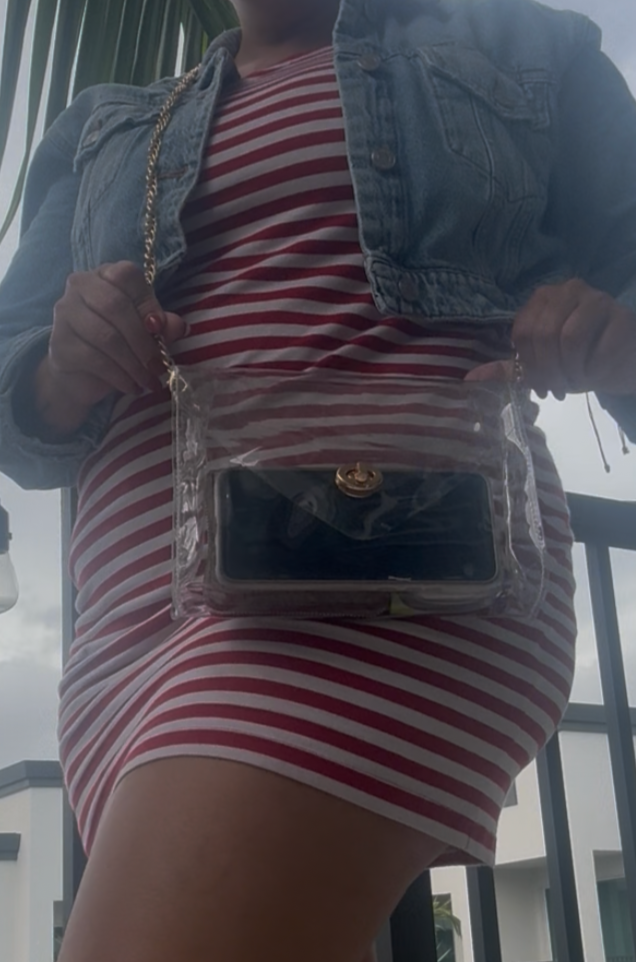 CARTERA TRANSPARENTE